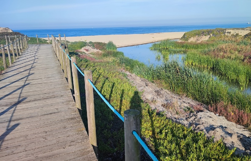 Camino de la Costa