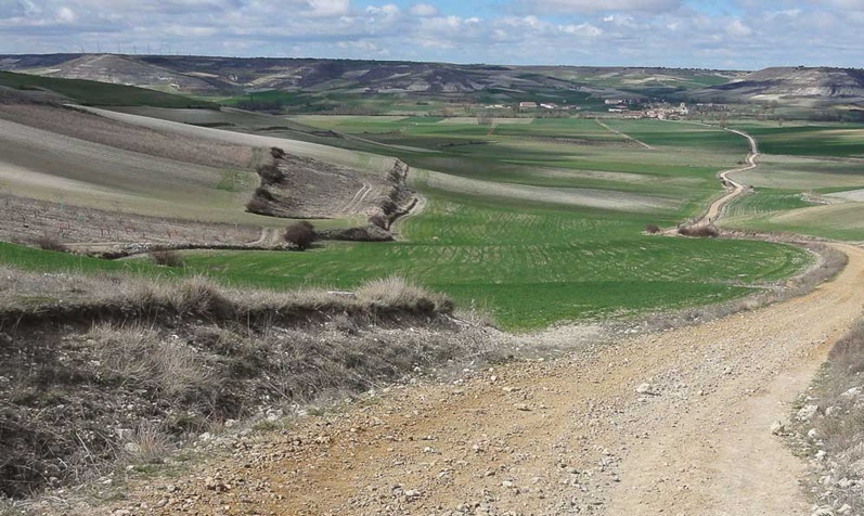 Camino Francés