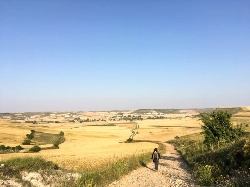 Camino Francés