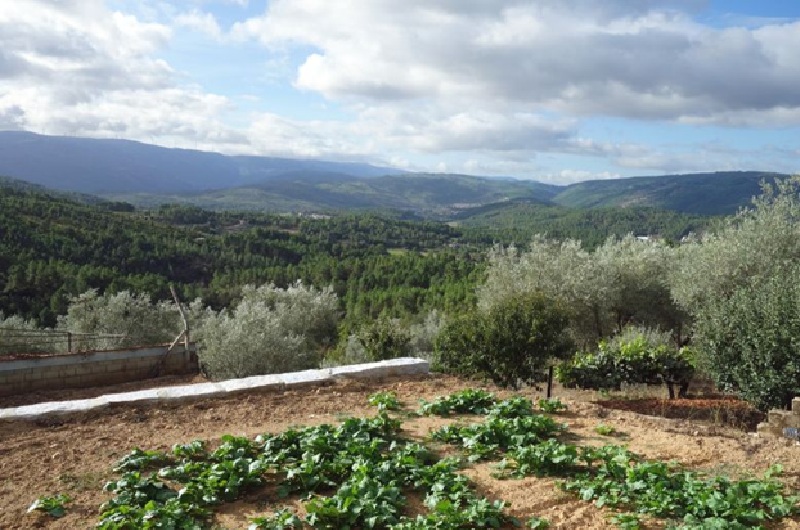 Camino Portugués