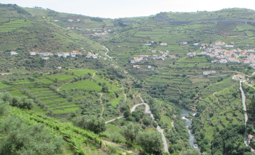 Camino Portugués