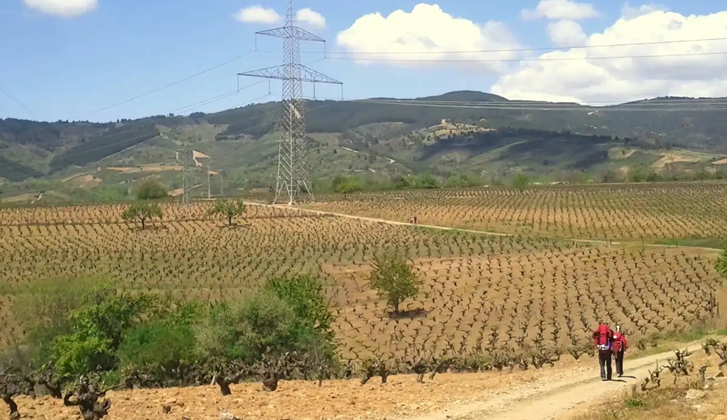Camino Portugués