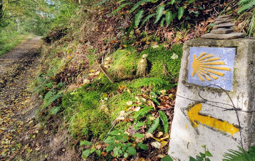 Camino Primitivo