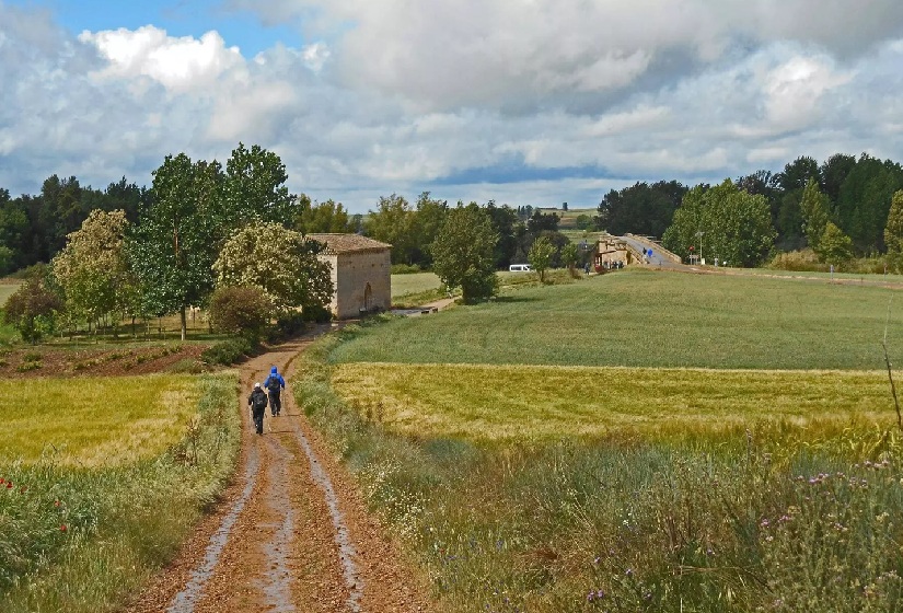 Camino Primitivo