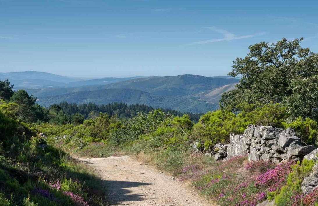 Camino Primitivo