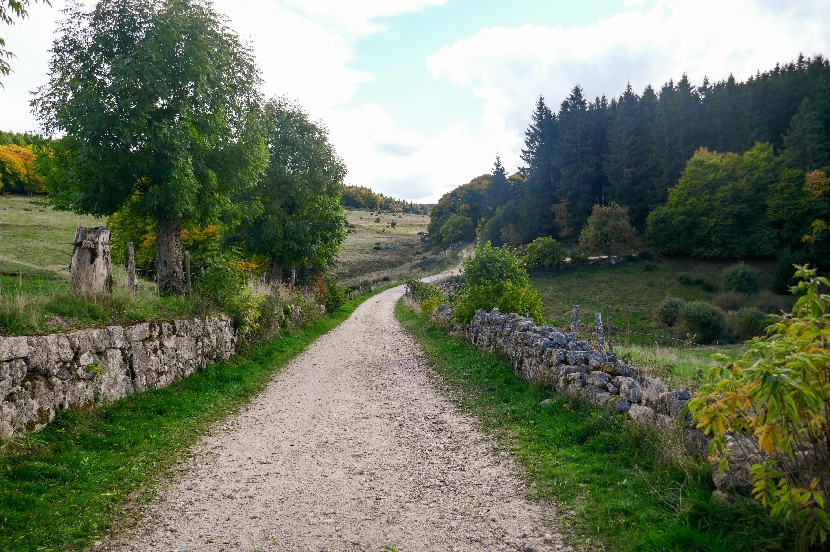 Via Podiensis
