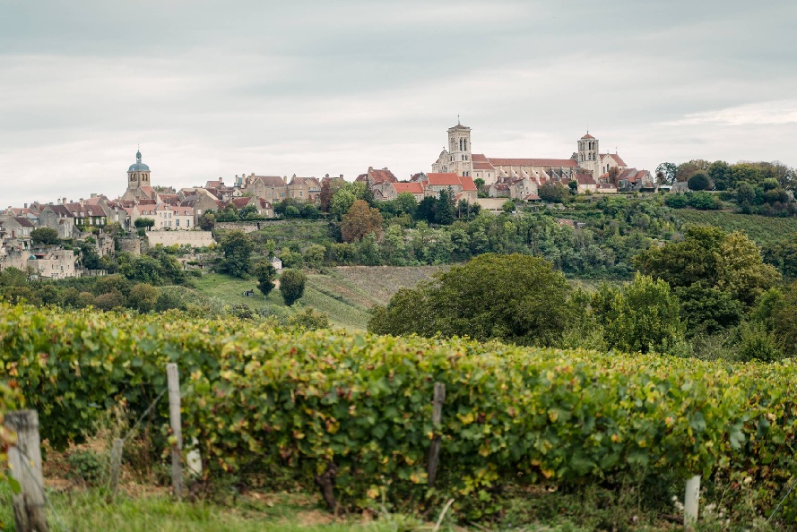 Via Lemovicensis (Vézelay Route)